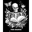 Skeleton Reader