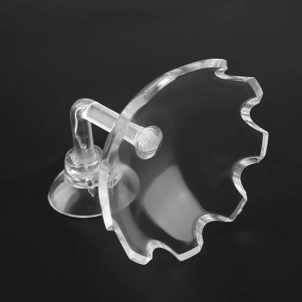 Shrimp Futternapf Acryl Sucker Cup Design Aquarium Bowl Tray Wasser Lebensmittel Kleiner Reptil Würmer Haustiere Dish Feeder Bowl