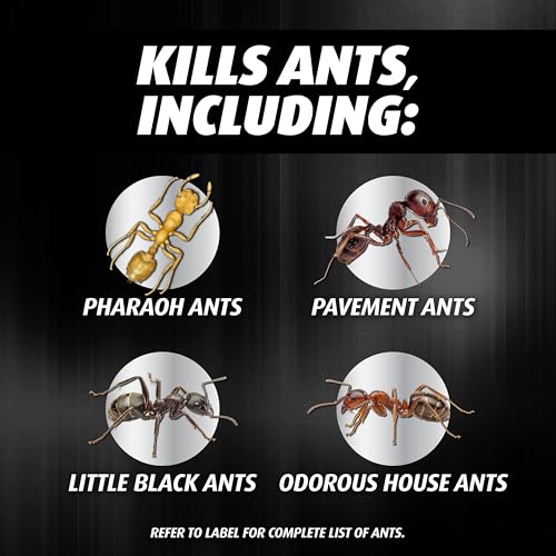 Ortho Orthene Ant Killer Ant Bait, Indoor Ant Killer, Kills The Queen and The Colony, 12 Stations, 2-Pack