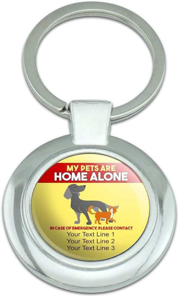my pet is home alone key tag