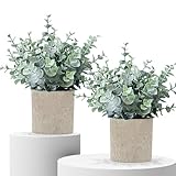 MIXROSE 2 Pack Fake Plants Eucalyptus Small Potted Artificial Plants Indoor Greenery for Shelf Desk Home Bathroom Modern Farmhouse Living Room Coffee Table Decor