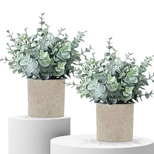 2 Pack Fake Plants Eucalyptus Small Potted Artificial Plants Indoor Greenery for Shelf Desk Home Bathroom Modern Farmhouse Living Room Coffee Table Decor