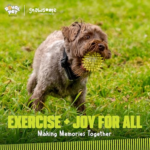 Pelota mordible sonora para perros, 2.5 pulg, pack 4 miniatura 6