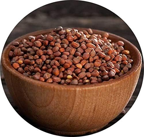 Radish Sprouting Seeds | Non GMO | Grown in USA | (1 Pound)