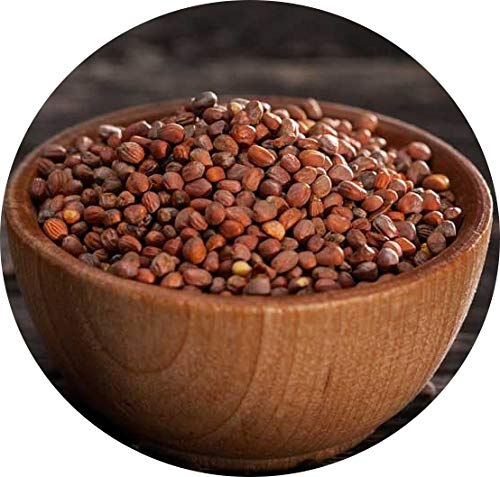 Radish Sprouting Seeds | Non GMO | Grown in USA | (1 Pound)
