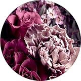 Pro-Art-Bilderpalette