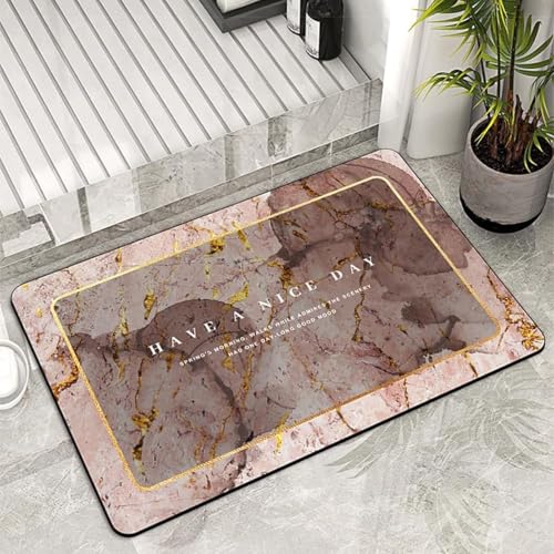Diatomite pierre séchée rapide pour un tapis de bain anti-moule