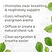 Plant Therapy Respir Aid Essential Oil Blend 100 mL (3.3 oz) Sinus, Airway and Congestion Clearing Synergy Blend 100% Pure, Undiluted, Natural Aromatherapy, Therapeutic Grade