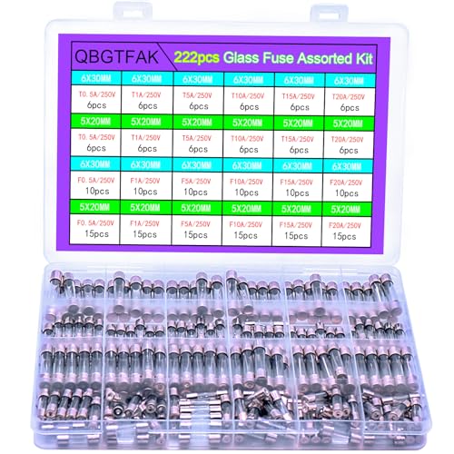 QBGTFAK 24 Values 222pcs 250V Fast Slow Blow Glass Fuses Assorted Kit 6X30MM 250V T 0.5A, 1A, 5A, 10A, 15A, 20A, 5X20MM F 0.5A, 1A, 5A, 10A, 15A, 20A, packag in a Clear Plastic Box