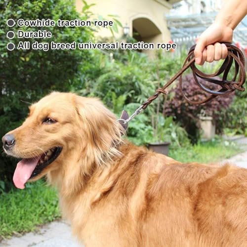 Guinzaglio per cani in pelle, cinturino in pelle con cinturino in corda di sicurezza per cani da compagnia(1.2m)