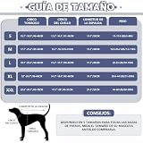 Gafas con banda 21 Imagen adicional