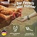 Eggersmann Körnerpick 25 kg Hühnerfutter Struktur Körnermix Oregano