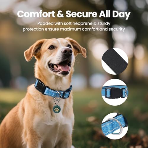 Collar reflectante para perro con correa y placa ID miniatura 2