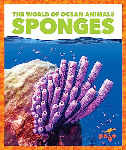 Sponges