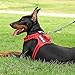 Demigreat Service Dog Harness, Reflective Dog Vest Harness with 5 PCS Patches, Adjustable Soft Oxford Pet Harness, Inner Layer Mesh, Easy to Control for Dogs (All-RED, X-Small (Pack of 1))