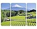 Price comparison product image Apalis Wall Mural Tea Fields In Front Of The Fuji Triptych II, Dimensions:144cm x 216cm