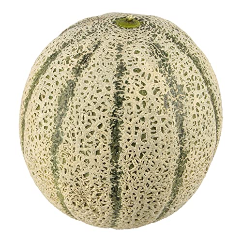Little Farms Rock Melon (1 piece)