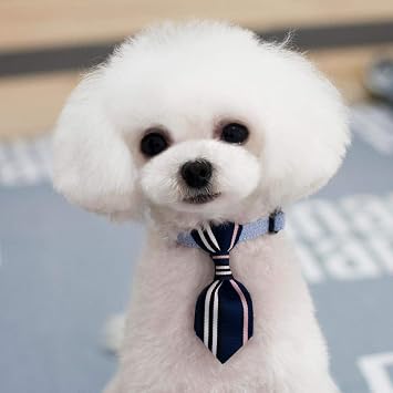 Meri Shopp Pet Dog Cat Adjustable Necktie Grooming Collar with Bell-S/M M Blue-Stripe