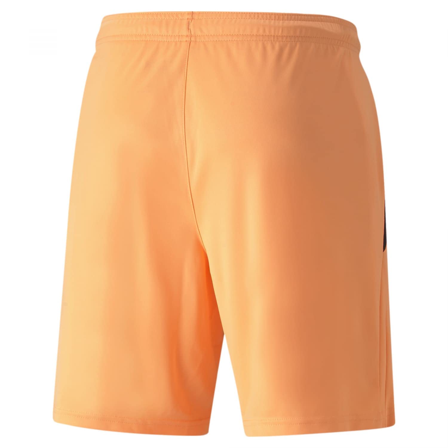 PUMA Teamliga Shorts - Szorty Dla mężczyzn