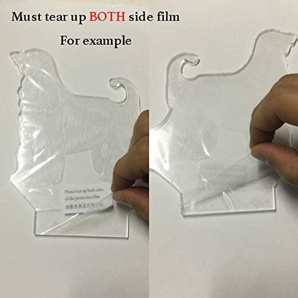 Asslye Luce notturna 3D fuochi d'artificio con orsetto, 8 colori che cambiano l'orso, lampada luminosa da tavolo, regalo per ragazze e bambini (B-001
