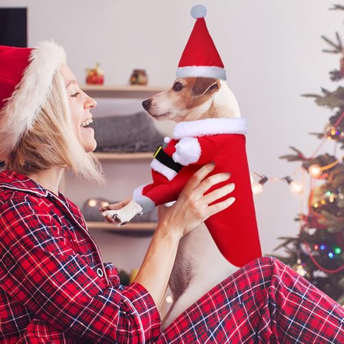 Disfraz de perro Santa Claus XL para invierno miniatura 6