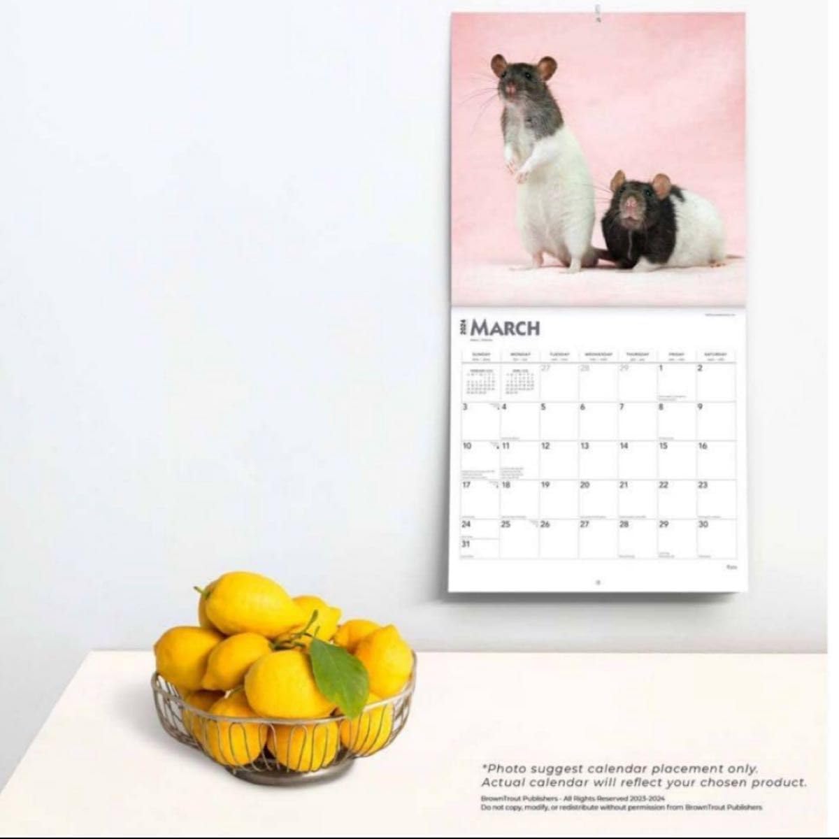 2024年 ねずみ カレンダーブラウントラウト 可愛い マウス ネズミ
