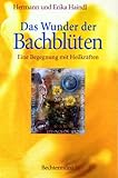  Das Wunder der Bachblüten. Begegnung mit heilenden Kräften (incl. 39 Meditationskarten)