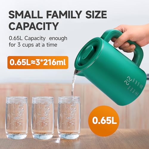 Image of 650ml Small Electric Kettle with 6 Temperature Control,800W Dual Voltage 110-240V Fast Heat Hot Water Boiler,304 Stainless Steel Portable Travel Electric Kettle,12H Keep Warm (Green) | 6 Temperature Control,800W Dual Voltage 110-240V,304 Stainless Steel,12H Keep Warm