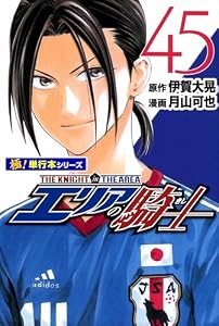 エリアの騎士【極！単行本シリーズ】45巻