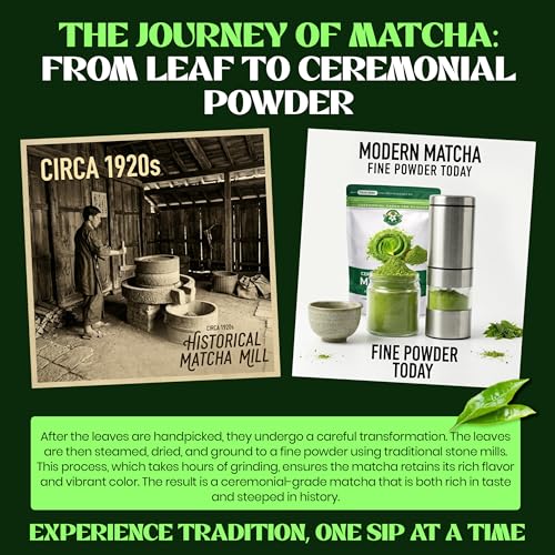 Té Matcha en polvo 127 g orgánico de origen Japón miniatura 3