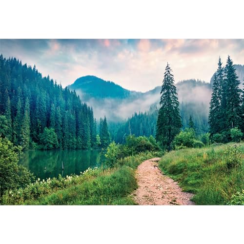 Ttincceer Telón de Fondo Misty Mountain 1.5x1.2m Primavera Bosque Lago Camino de Tierra Fotografía Fondo Paisaje Natural Tema de Viaje Fotografía Telón de Fondo Estudio Retrato Accesorios de Tiro
