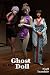 The Ghost in the Doll (Fox Meridian Book 6)