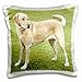 Produktbild 3dRose gelb Lab auf Rasen  Kissen Fall, 16 von 16 Zoll (PC 49373 _ 1)