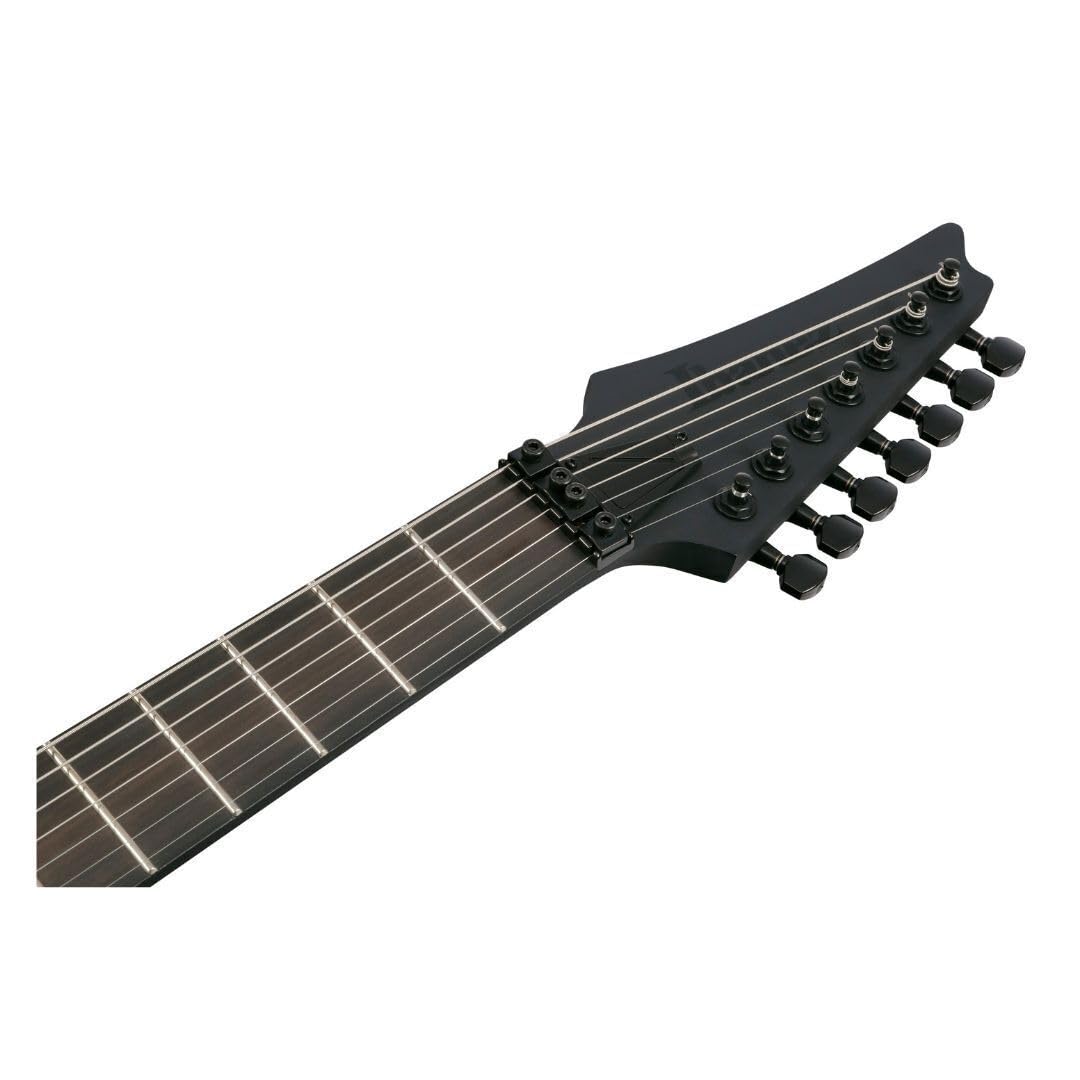 Amazon.co.jp: Ibanez RGRB720 アイアンラベル 7弦右利きエレキギター