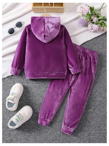 Floerns Toddler Girl's Two Piece Sweatsuit Sequin Letter Print Hoodie Sweatshirt with Jogger Set2