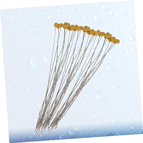 Cabilock 20 piezas flores secas Craspedia para decoración miniatura 4