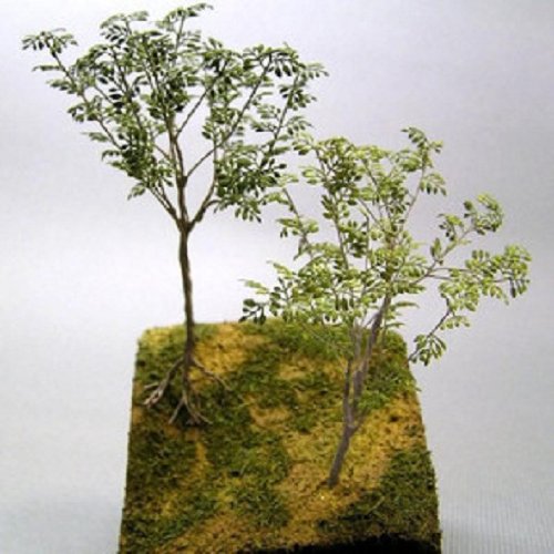 Arbre banian Diorama Accessories pour créer un paysage miniature réaliste et végétalisé