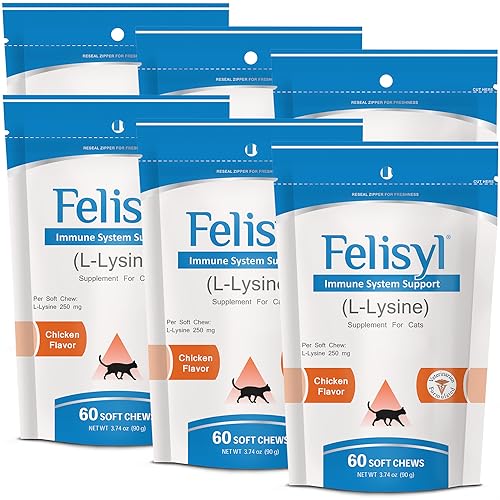 Pet Health Solutions L-Lysine Soft Chews for Cats (60 Soft Chews) – Supports Immune, Respiratory, and Eye Health. Eases Sneezing, Runny Nose, and Watery Eyes. Salmon Flavor - (6 Pack)