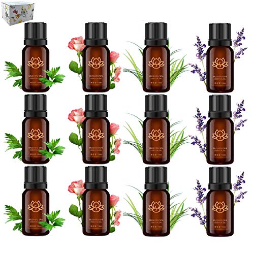 Set de regalo de aceites esenciales (12 x 10 ml), hierba de limón 100% pura, lavanda, rosa Otto, Artemisia argyi H. Lév. & Vaniot, artemisa china, Ay Tsao, moxa