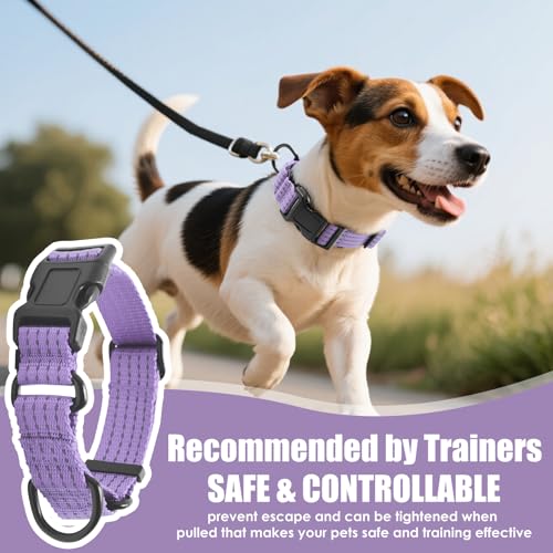 Image of Martingale Dog Collar, Reflective No Pull with Buckle, Lavender, S | Escape Proof without choking ,Training Collar with Quick Release Buckle, Adjustable Heavy Duty Nylon collars for S M L Dogs