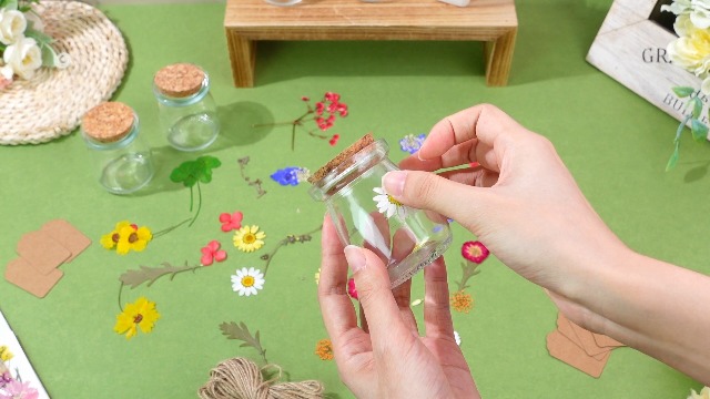 Set de 162 piezas de flores secas y frascos de vidrio con tapón miniatura 7
