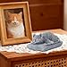Dmnnlp Sleeping Cat Memorial Stones Statue Small 4.3x3.4x2in, Peaceful Sleeping Cat Statue for Garden, Pet Grave Markers, Loss of Pet Sympathy Gift -Gray (Cat Statue2)