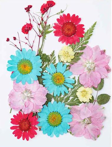Flores Secas Prensadas Reales para Moldes de Resina