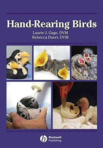 Hand-Rearing Birds eBook : Amazon.co.uk: Books