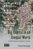 Big Capital in an Unequal World: The Micropolitics of Wealth in Pakistan (Dislocations, 29) - Rosita Armytage 