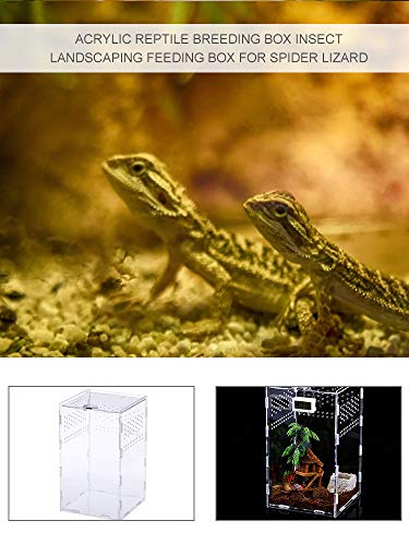 XQK Scatola di Alimentazione Custodia Trasparente