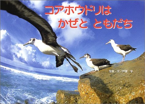 コアホウドリはかぜとともだち (親と子の写真絵本 9)