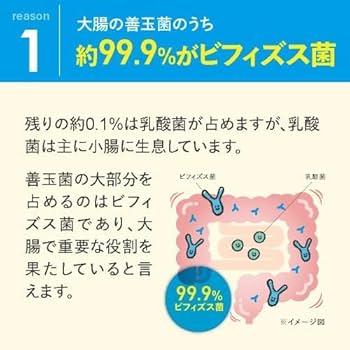 Amazon | ビフィズス菌 サプリ BB536 100億個 機能性表示食品 腸