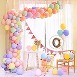 16Ft Balloon Arch Garland Kit - 10 Inches 100pcs Assorted Pastel Macaron Latex Balloons for Wedding Girls Birthday Baby Shower Party Decoration