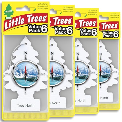 LITTLE TREES Car Air Freshener | Hanging Tree Provides Long Lasting Scent for Auto and Home | 24 Air Fresheners |True North